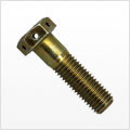 Drilled Bolts