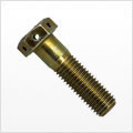 Drilled Hex Cap Screws