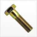 Hex Cap Screws